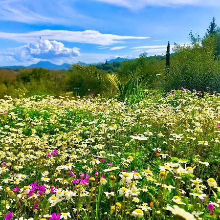 Apartament Armonia Corfu Luxury Liapades