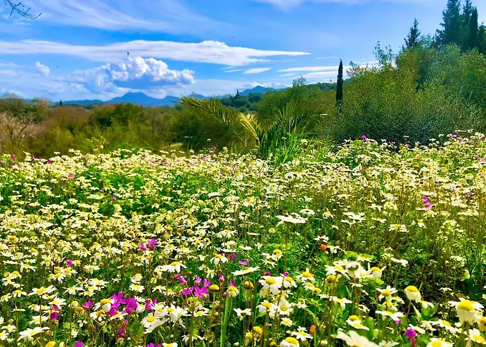 Apartament Armonia Corfu Luxury Liapades