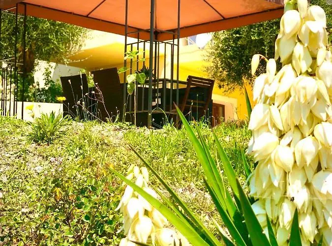 Apartament Armonia Corfu Luxury Liapades