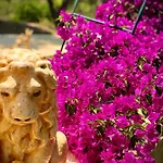 Διαμέρισμα Armonia Corfu Luxury Λιαπάδες