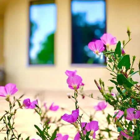 Armonia Corfu Luxury Apartment