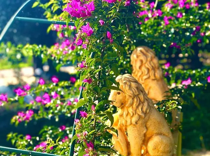 Armonia Corfu Luxury Apartament