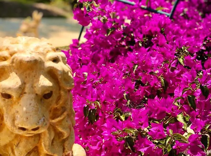 Apartament Armonia Corfu Luxury Liapades