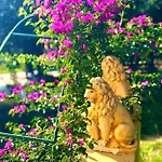 Armonia Corfu Luxury Daire
