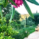 Daire Armonia Corfu Luxury Liapades