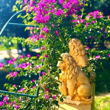 Armonia Corfu Luxury Διαμέρισμα