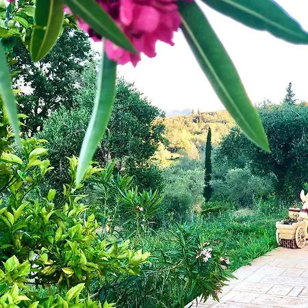 Apartament Armonia Corfu Luxury Liapades