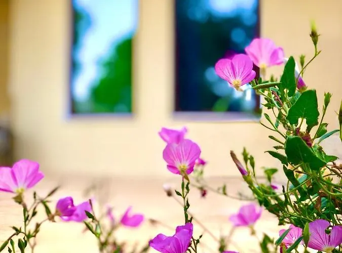 Armonia Corfu Luxury Apartamento