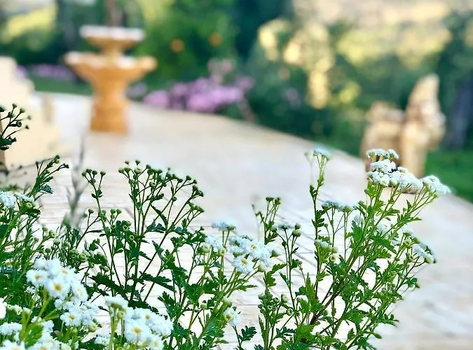 Апартаменты Armonia Corfu Luxury Лиападес